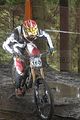 230__DSC0230 (2)